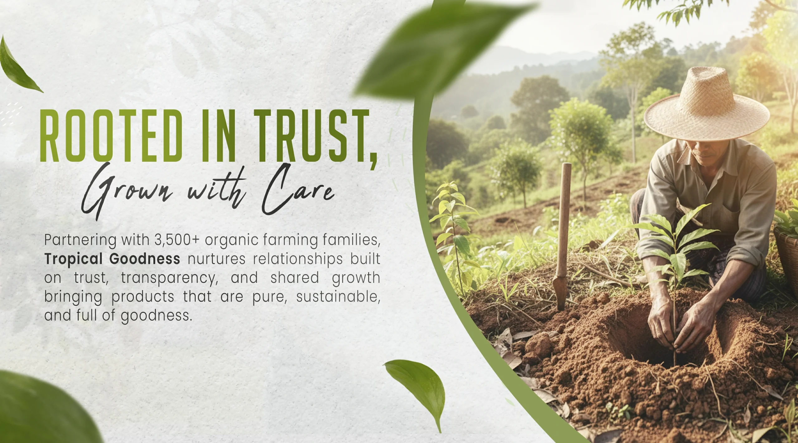 Tropical Goodness Organic Products Root